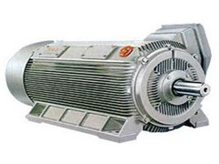 高壓電機(jī)總出問題，看看是不是防護(hù)不到位