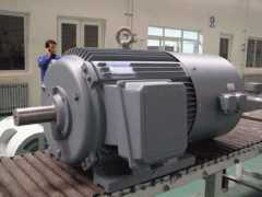 變頻電機(jī)的ZTP電機(jī)應(yīng)用場合。