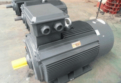 關(guān)于高壓電機(jī)外殼電機(jī)修理防護(hù)等級(jí)重要性分析。